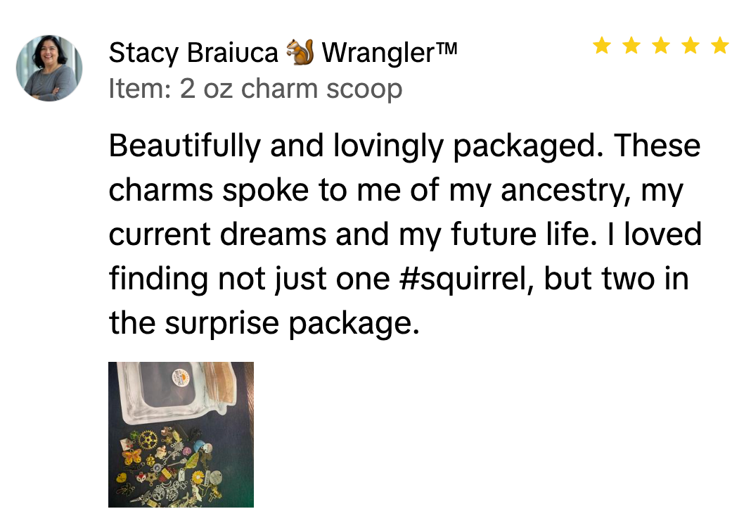 Review praising charm package with dark floral charm box and note about squirrel charm surprise
