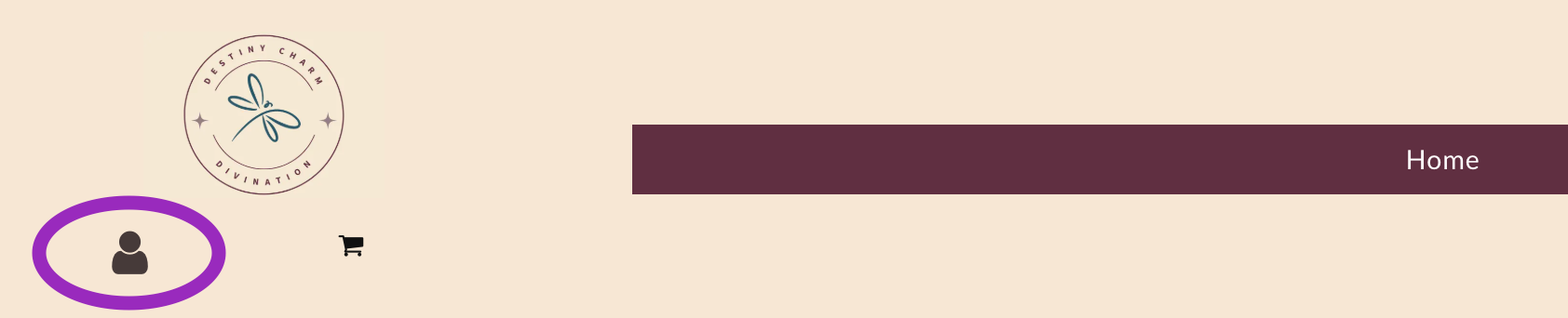 Small beige UI with a purple-highlighted user icon on the left and a maroon “Enter” button on the right.