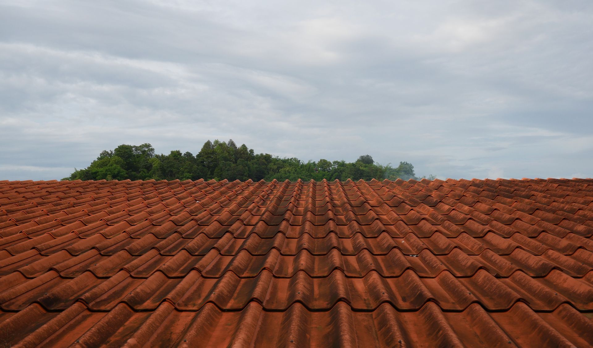 Vista de baixo para cima de um telhado de telhas vermelhas que se estende em direção a uma linha do horizonte de árvores verdes sob um céu nublado.