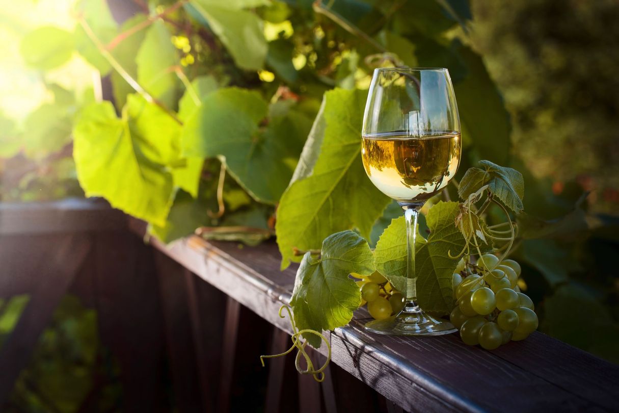 Un calice di vino e uva verde su una ringhiera di legno illuminata dal sole, accanto a una vite.
