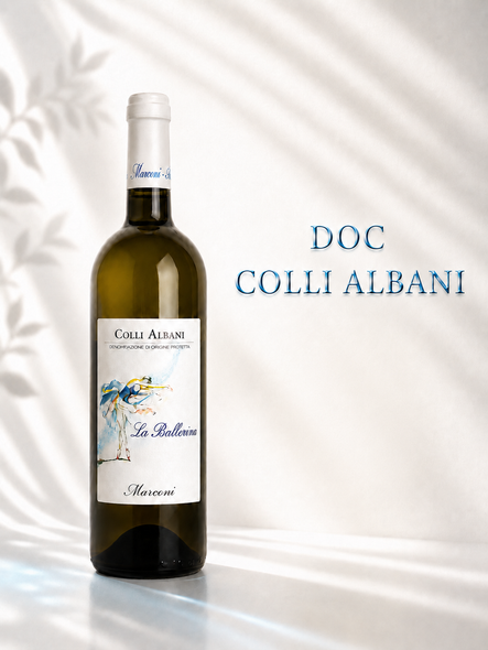 Bottiglia di vino bianco DOC Colli Albani su sfondo chiaro con ombre fluide