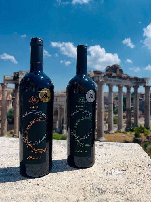 Due bottiglie di vino scuro su una pietra, con antiche rovine e cielo azzurro sullo sfondo.