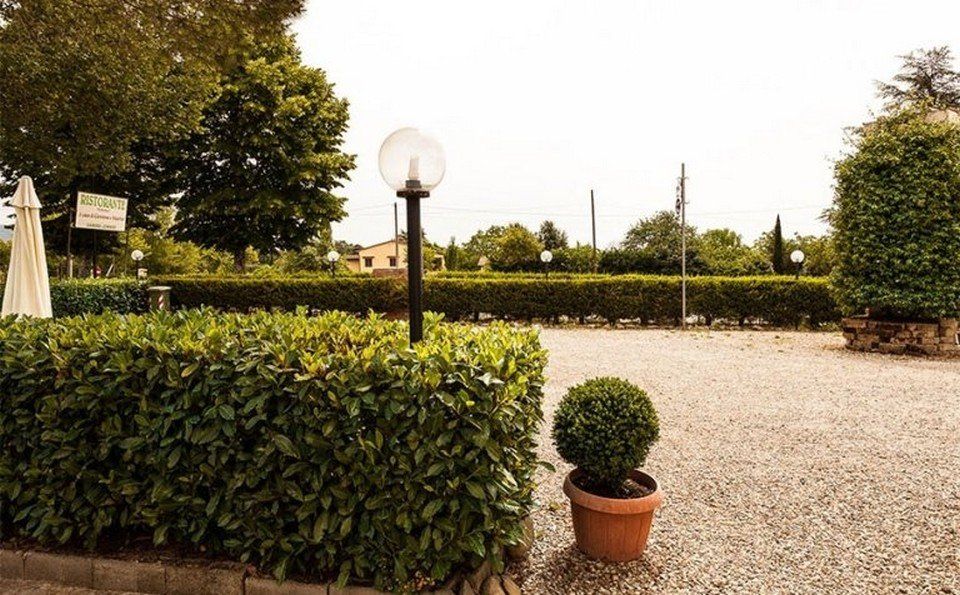 dettaglio siepi giardino