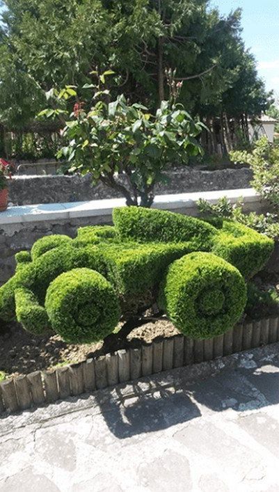 dettaglio siepi giardino