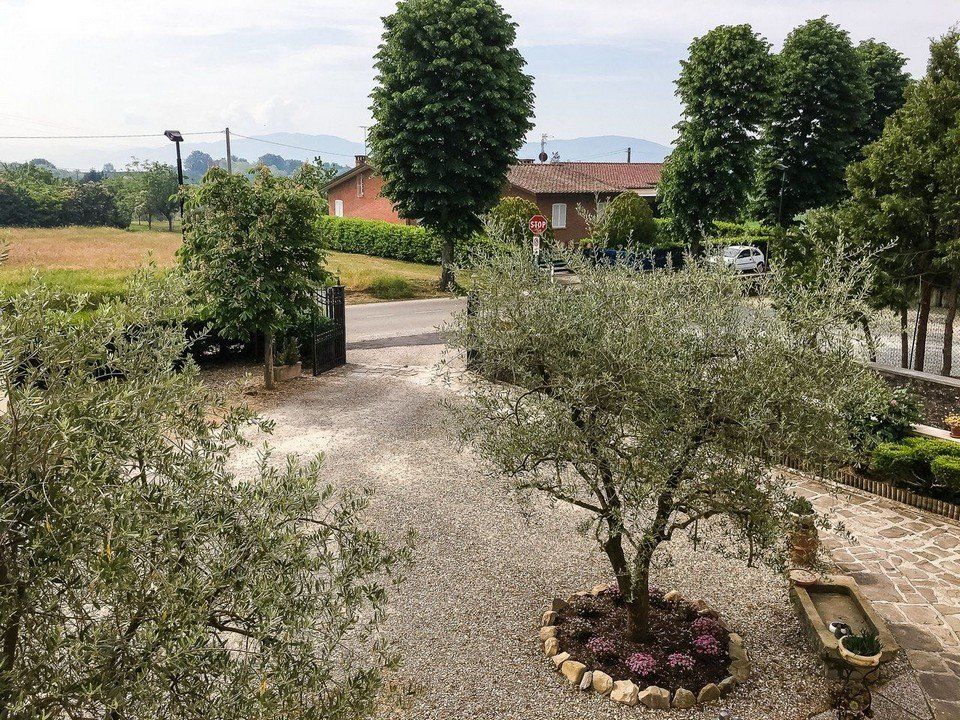 giardino esterno struttura