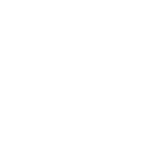 DS Fitness logo.