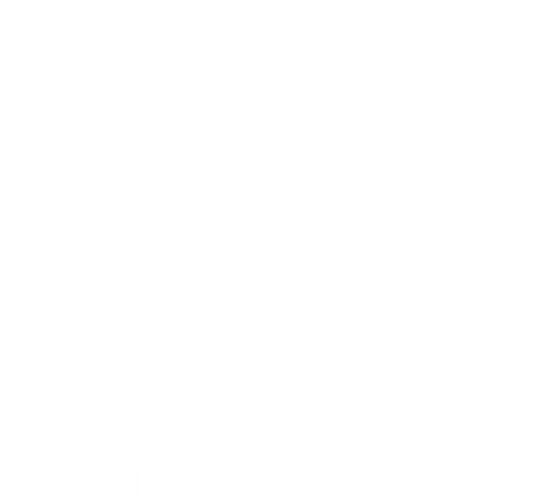 DS Fitness logo.