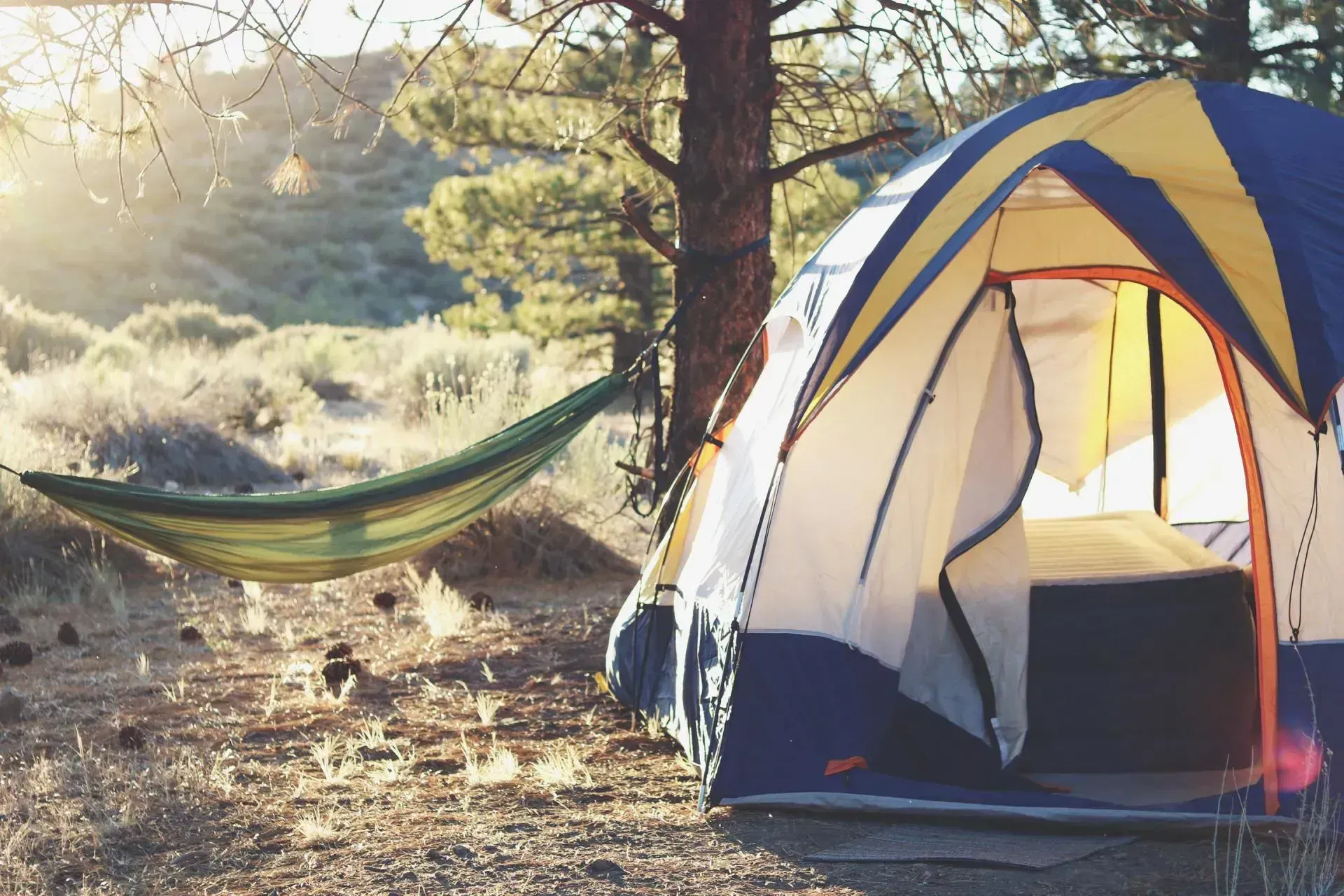 Camping scene: tent, hammock, and trees bathed in sunlight.