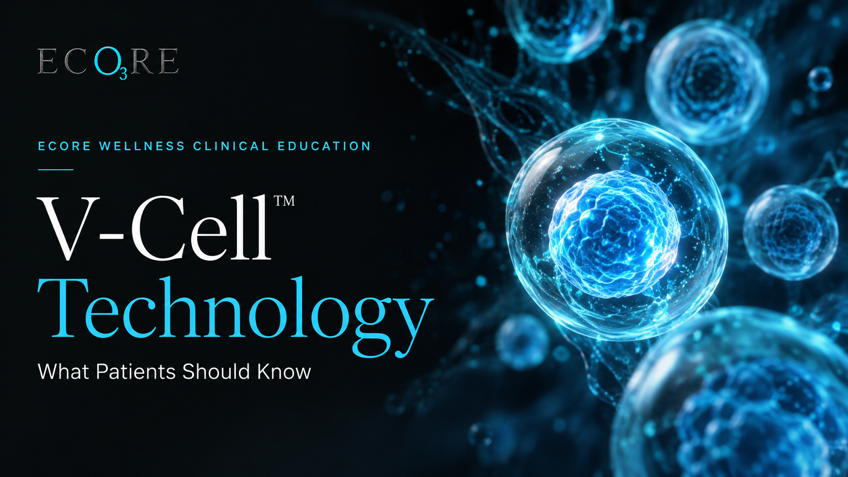v cell stem cell