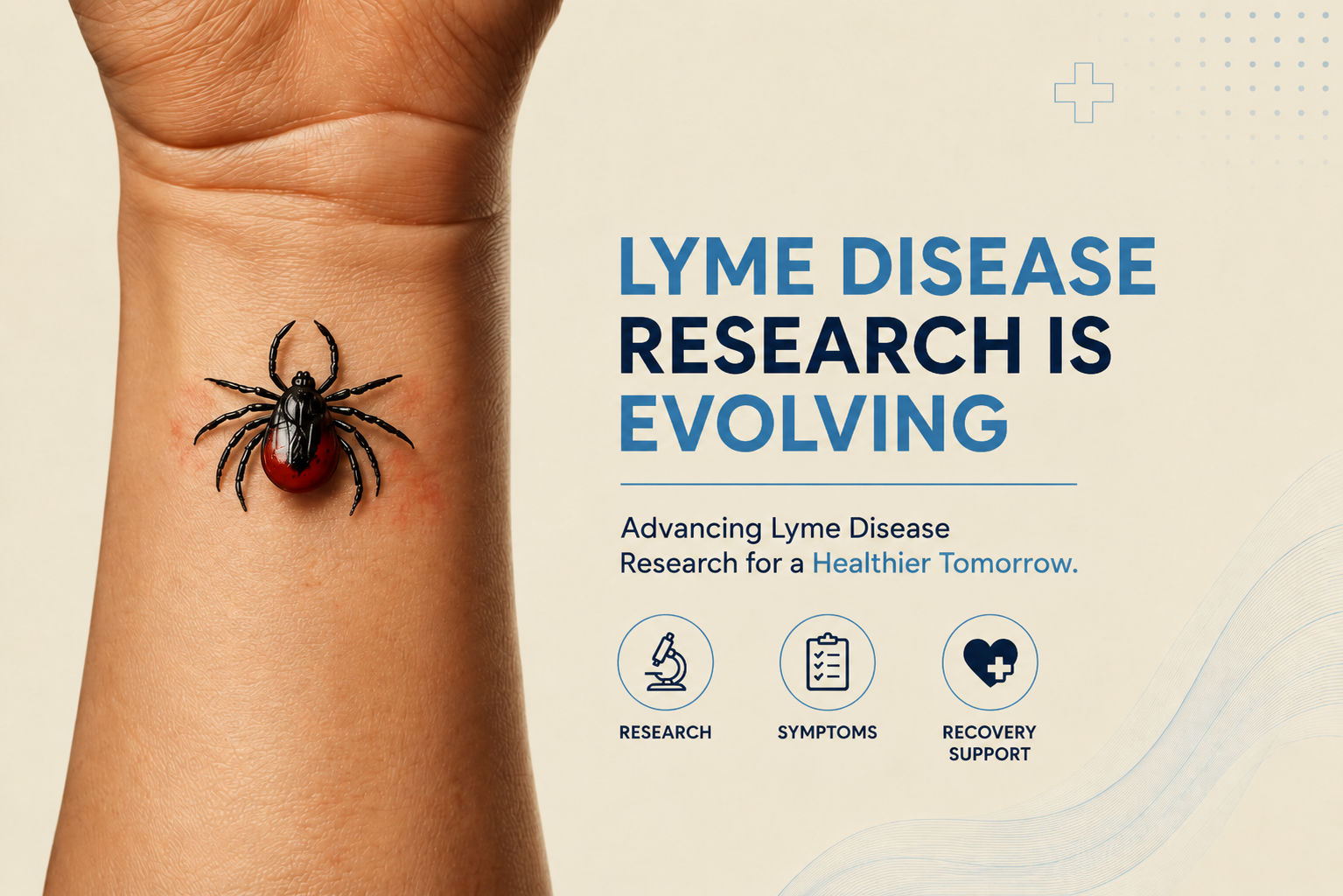 Tick on skin representing Lyme disease research, symptoms, testing, and whole-body recovery support.