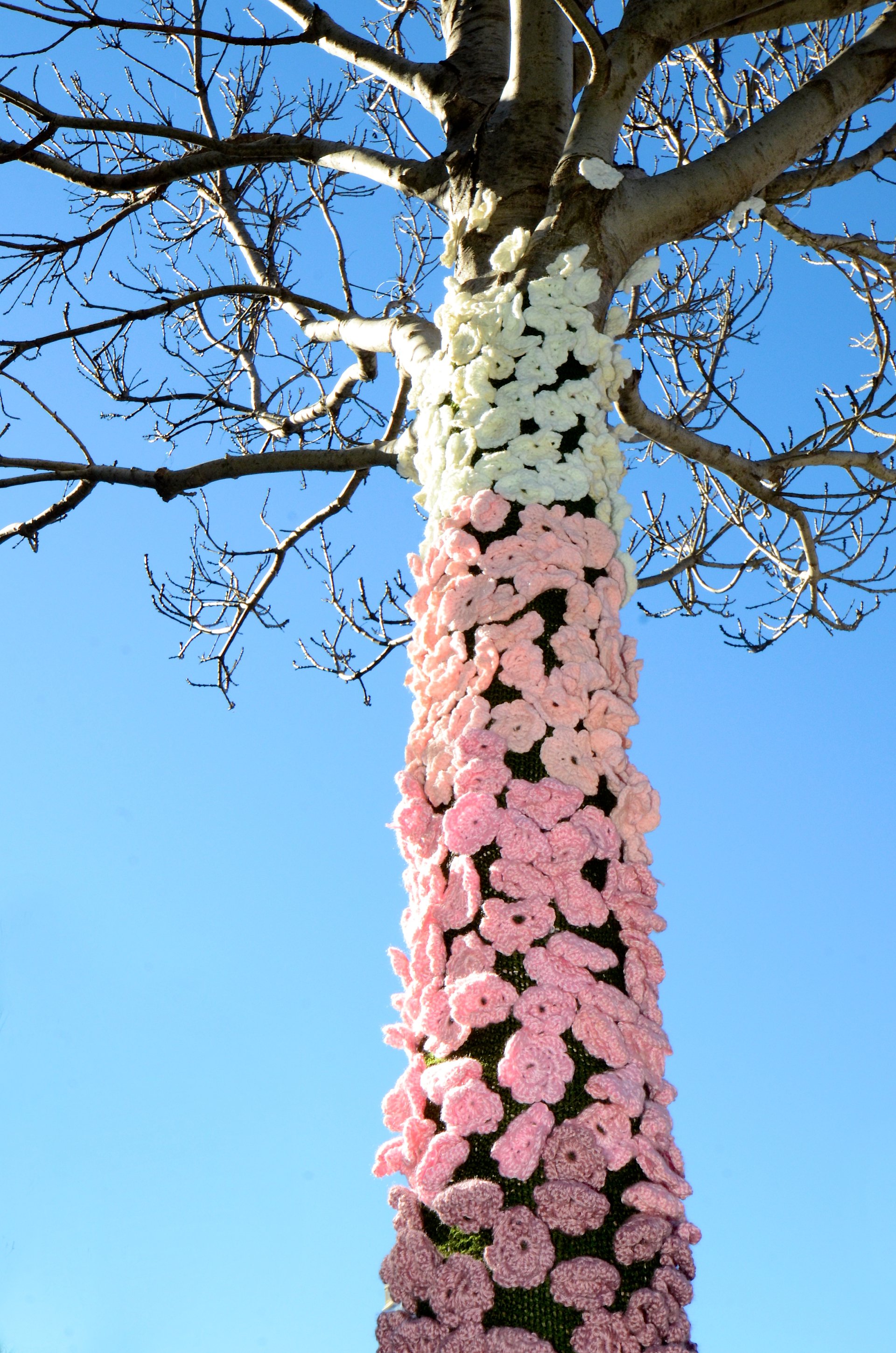 Tree Jumpers Exhibition Jumpers & Jazz in July Warwick Art Gallery