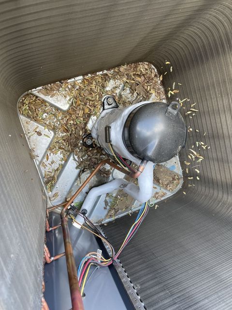 Condenser unit full of leaves and debris needing maintenance