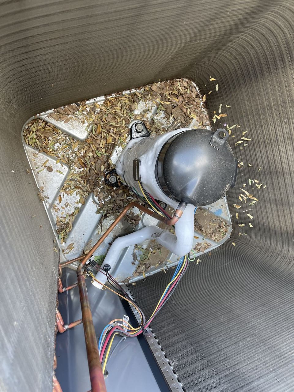 Debris and leaves packed inside a condenser cabinet in the Arizona high desert