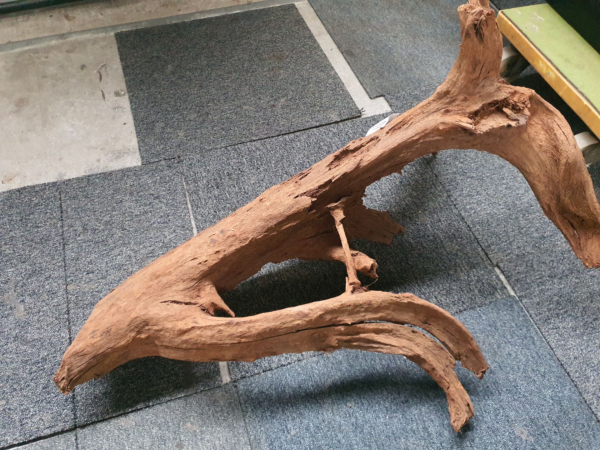 Op een tegelvloer ligt een groot stuk hout.