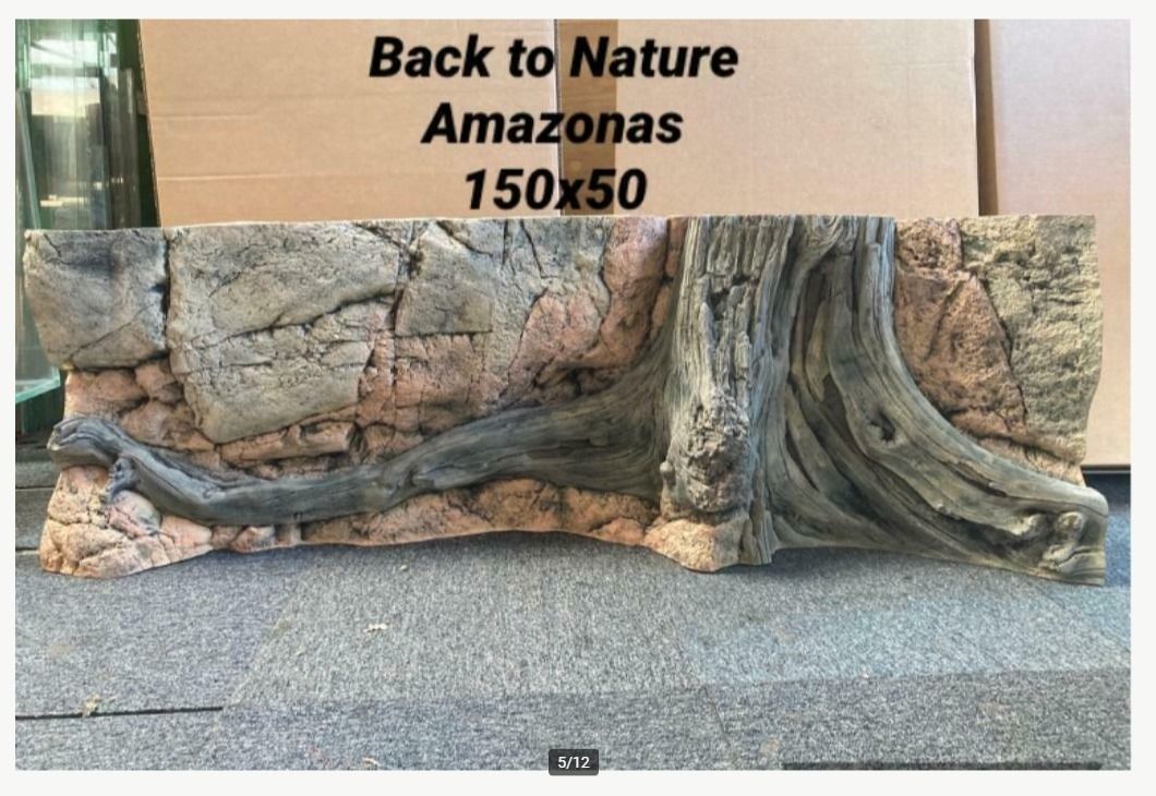 Een foto van een terug naar de natuur Amazonas 150x50