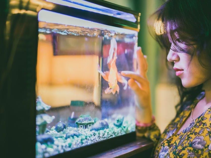 Op een houten plank staat een houten aquarium.