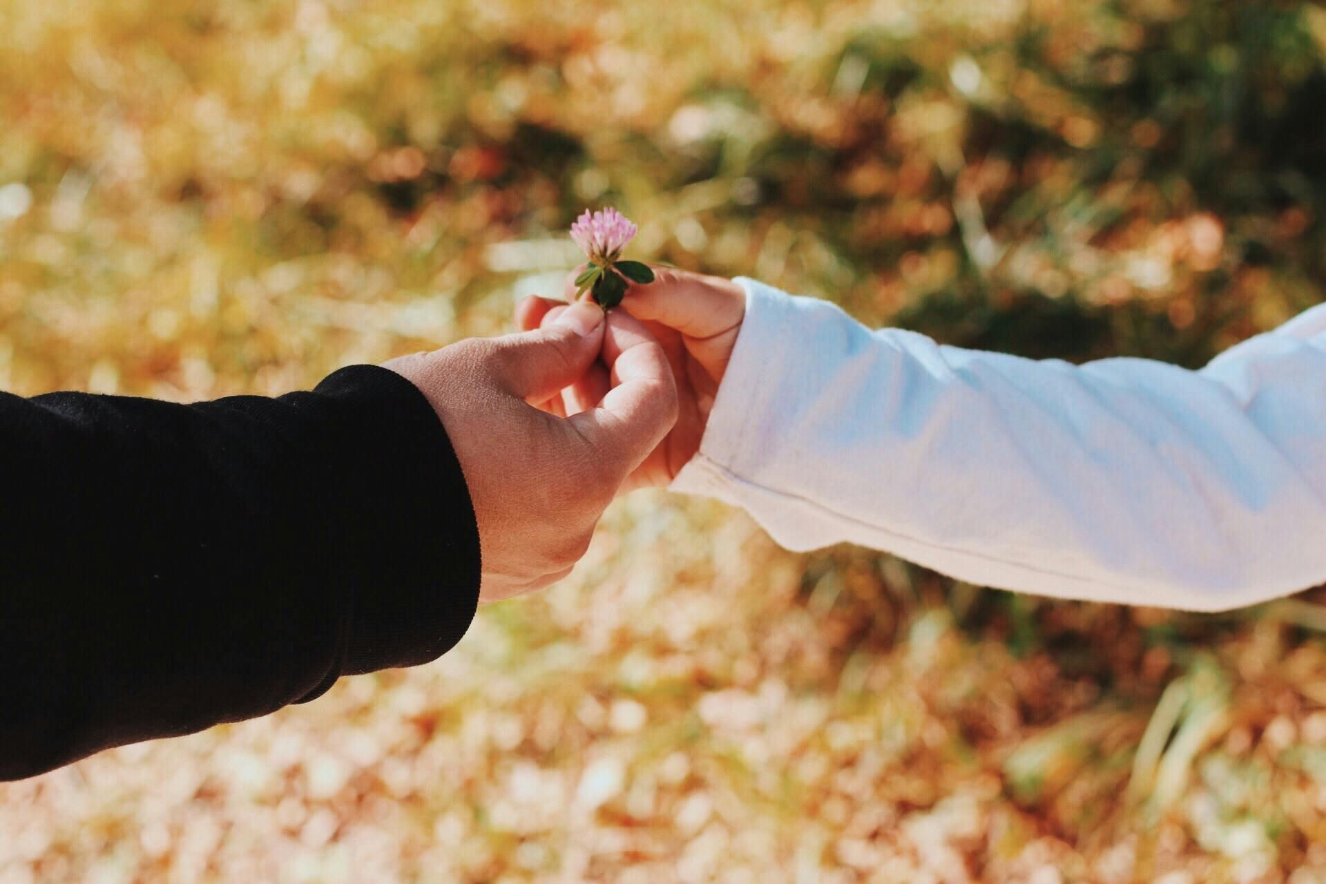 Two hands exchanging a small flower outdoors on a sunlit autumn background