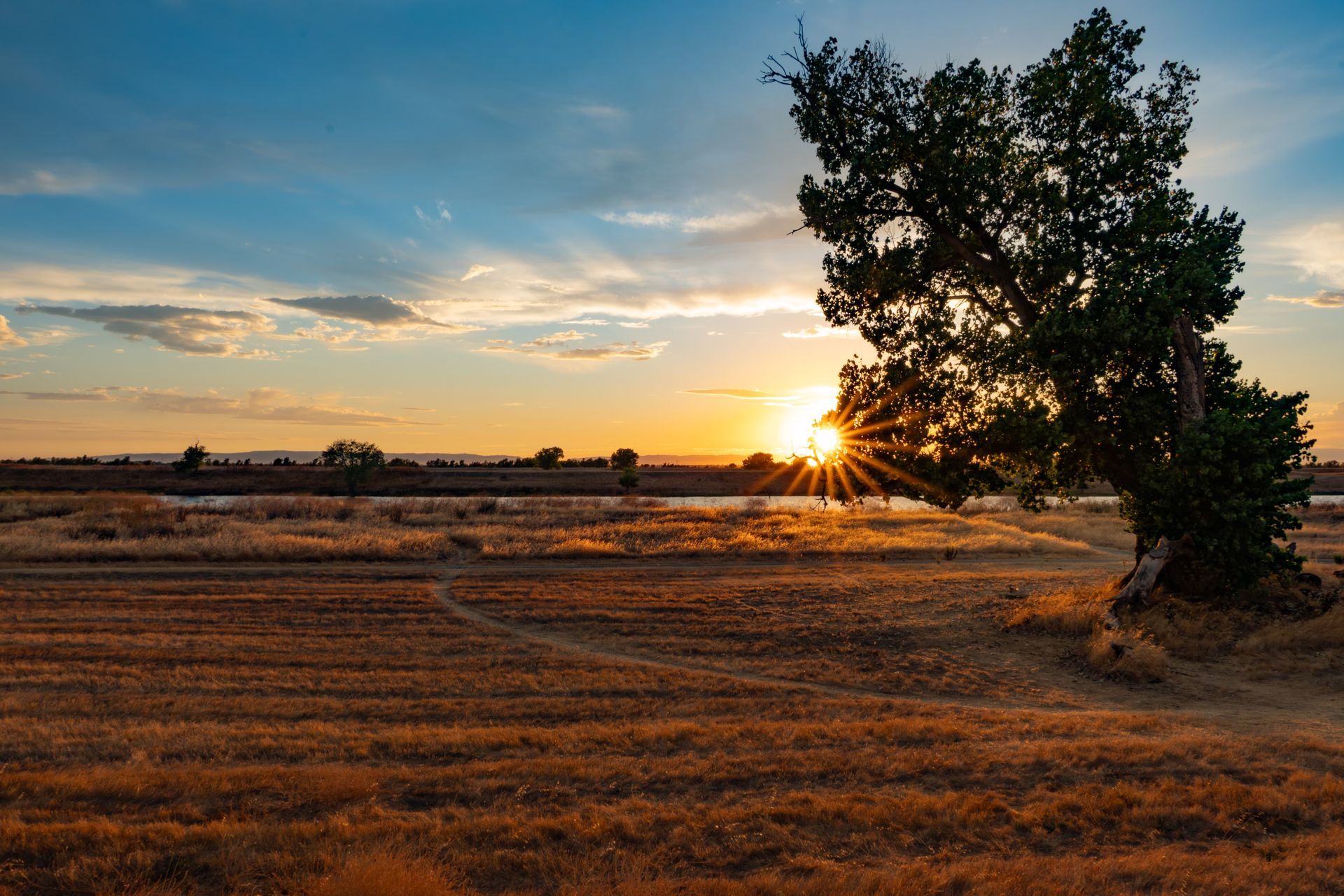 Sunset over a dry field with a lone tree silhouetted against the sky