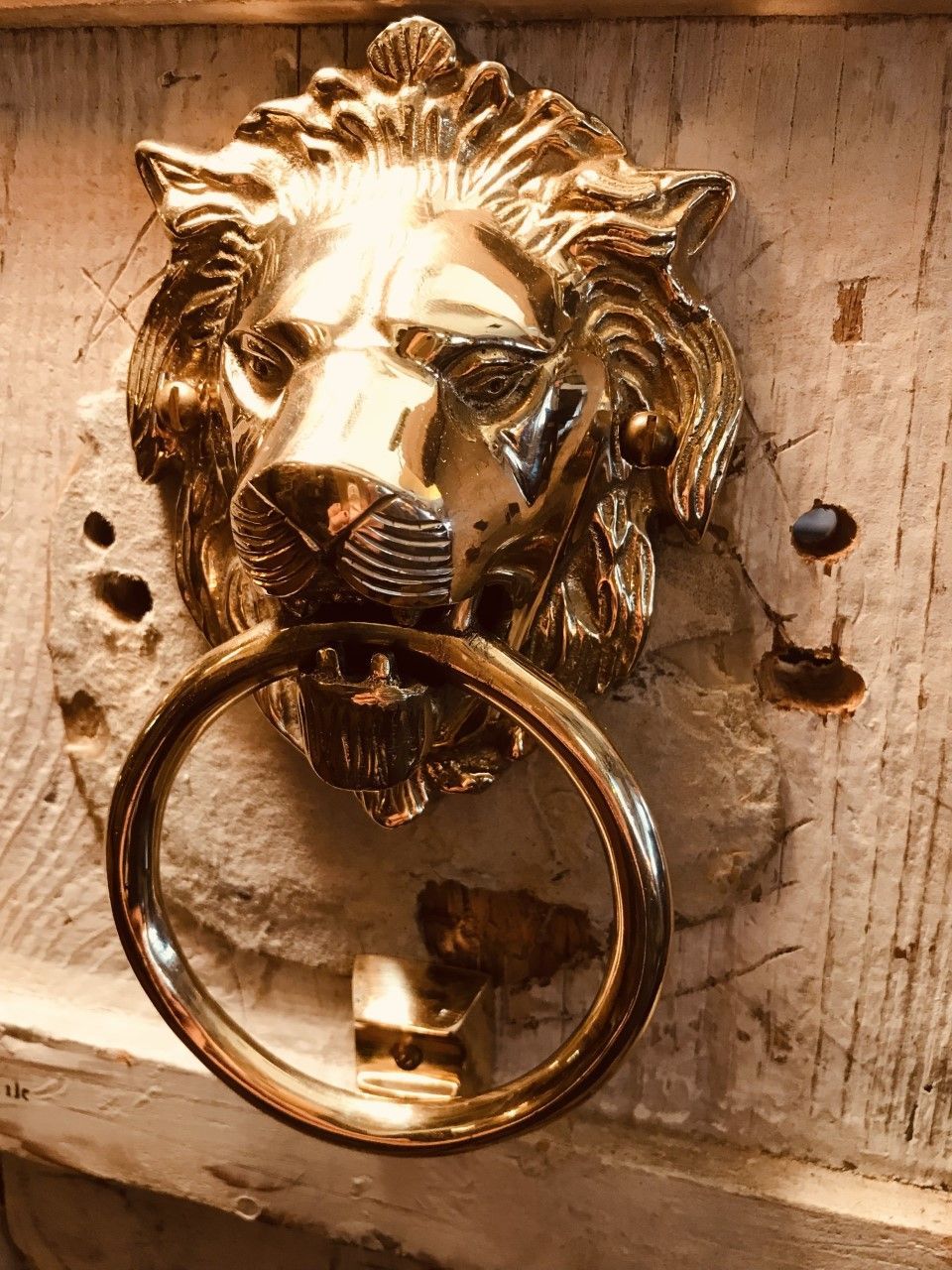 Brass lion-head door knocker with a round handle, mounted on a weathered, light-colored wooden door.
