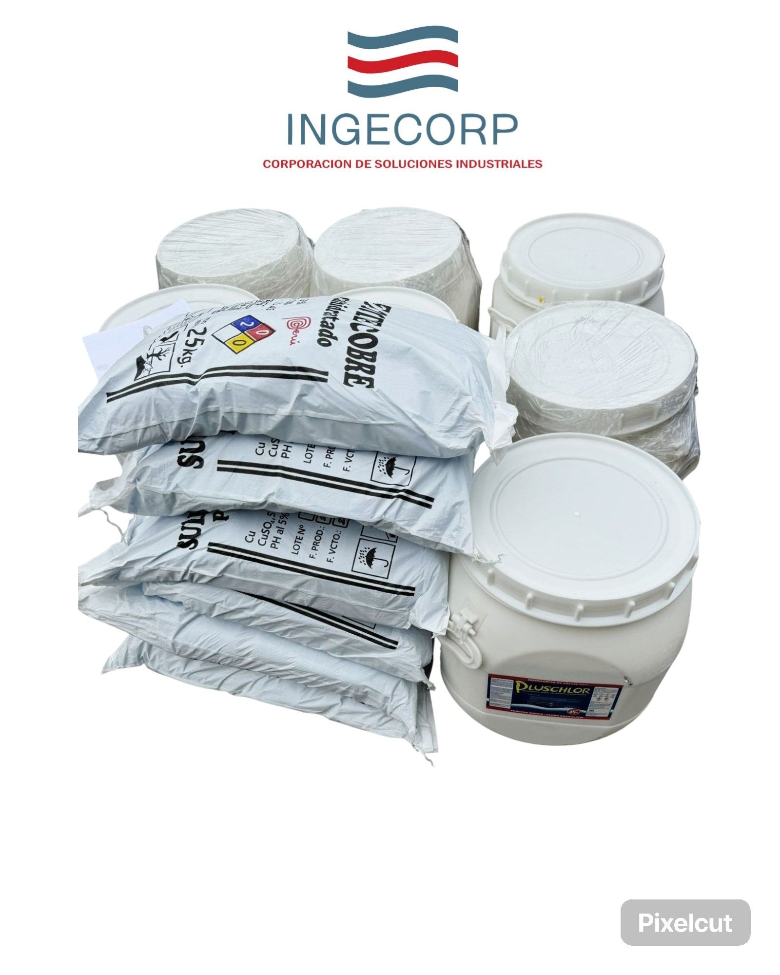 Envases y bolsas de producto de color blanco; logotipo INGECORP visible.