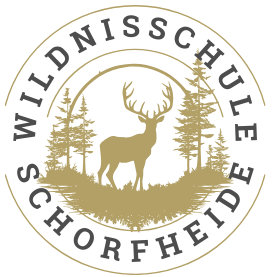 Unser Logo: Widnisschule Schorfheide Das Logo der Wildnisschule Schorfheide
