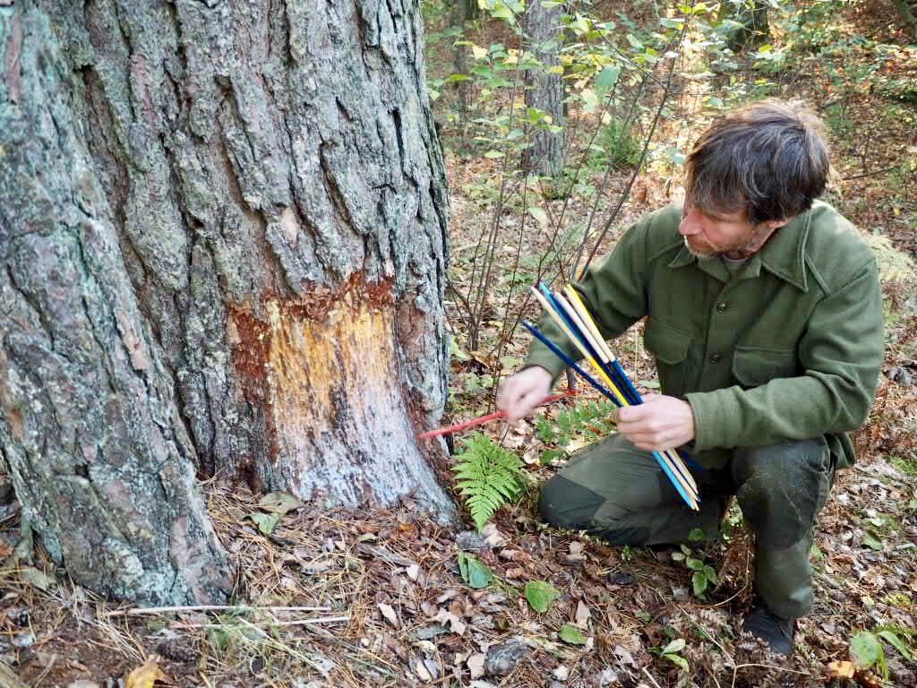 Ein See auf unseren Wildnisplatz, wo die Wildnispädagogik-Ausbildung stattfindet.