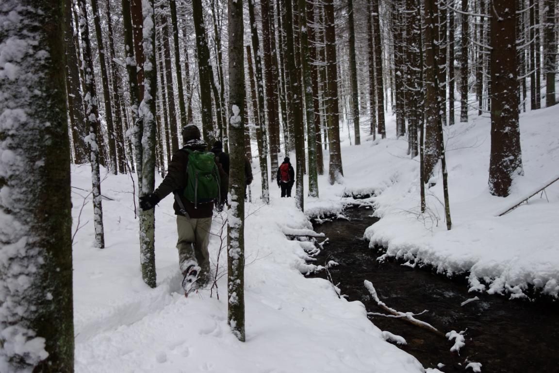 Ein Wanderer in einer neonfarbenen Jacke und mit einem großen Rucksack geht durch einen nebligen Wald auf andere Personen zu, die sich in der Nähe eines kleinen weißen Zeltes befinden.