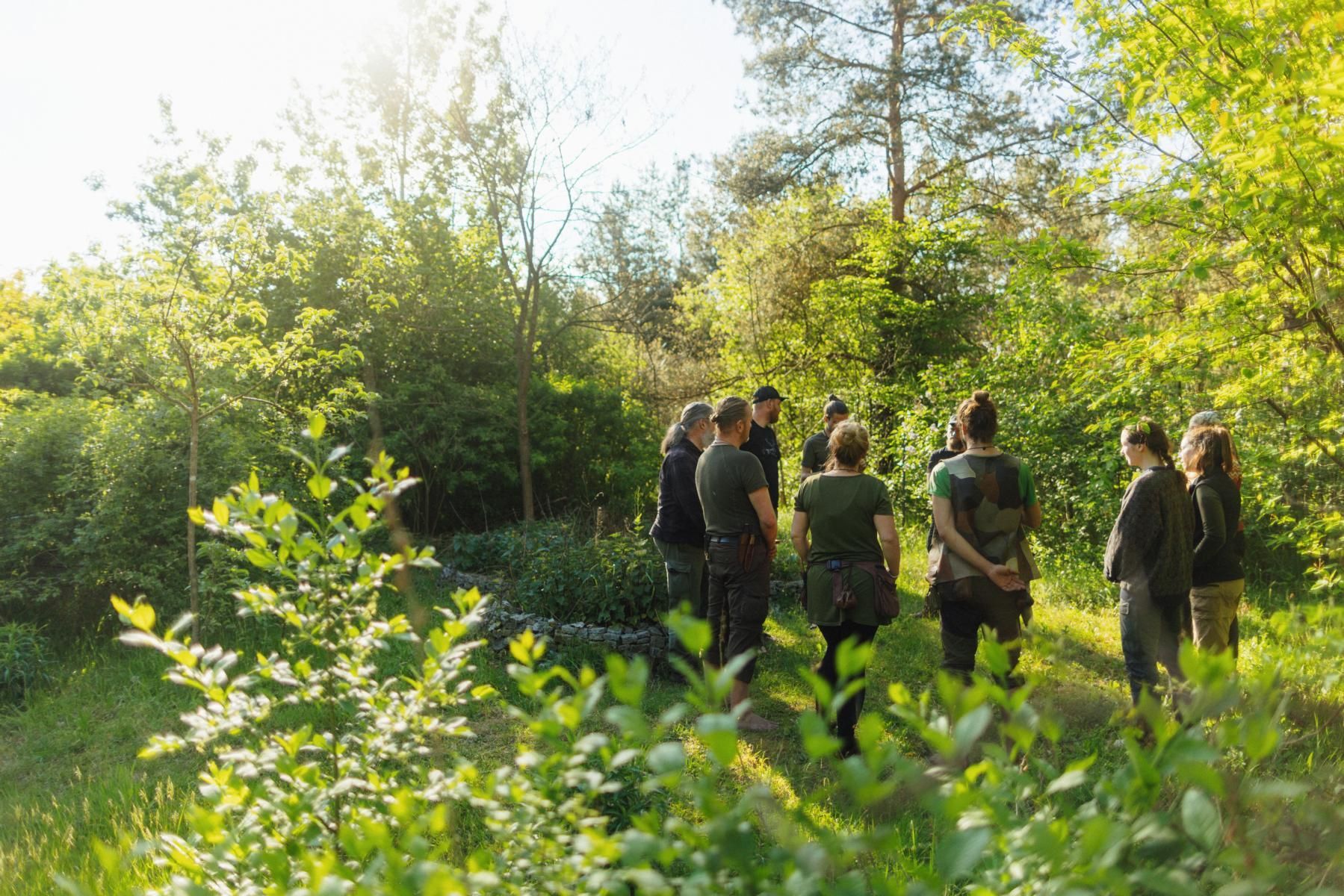 Menschen stehen auf einem sonnenbeschienenen grünen Feld, umgeben von Bäumen und Sträuchern.