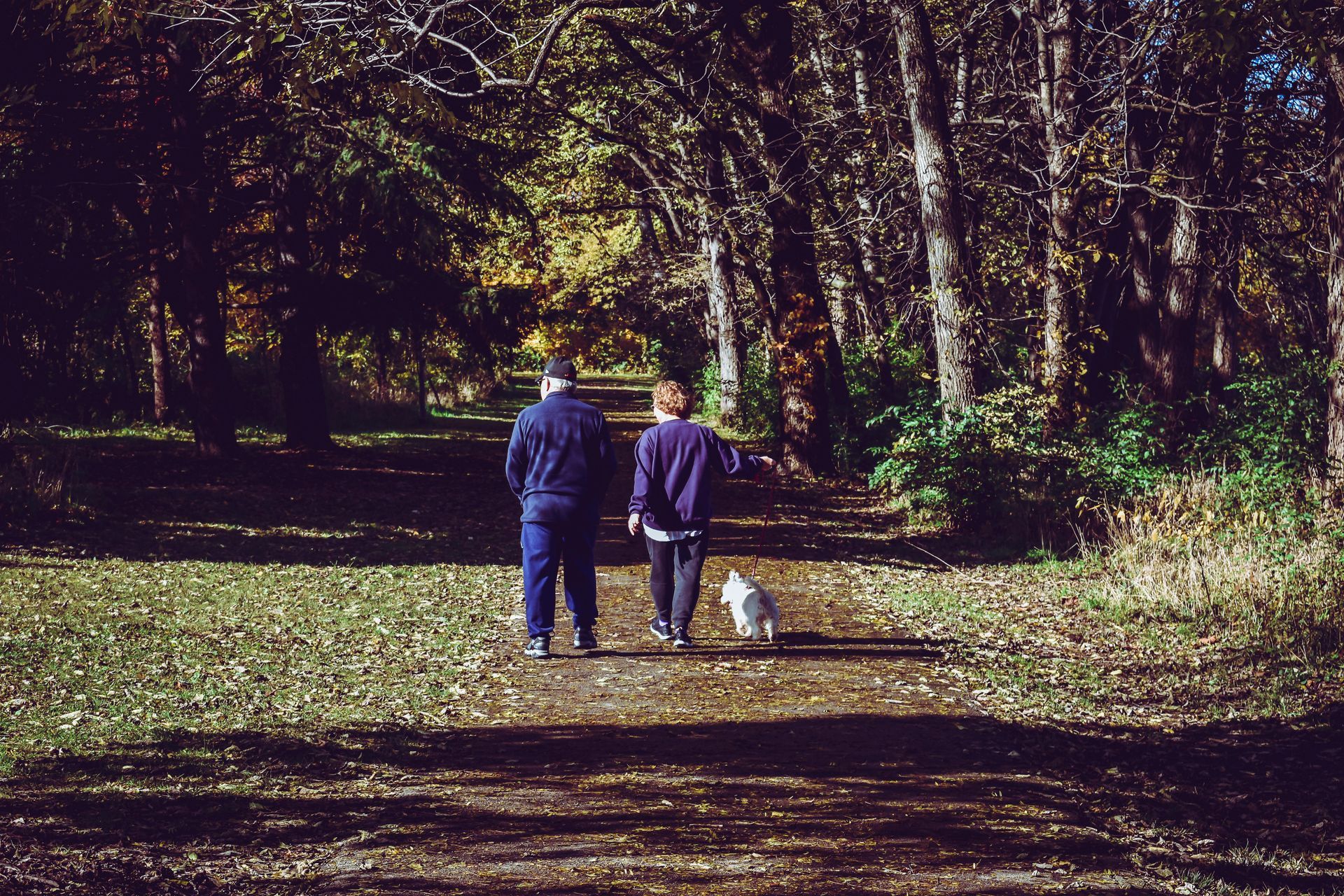 walking-benefits