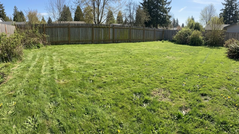 A beautiful, flat, green backyard in Spokane WA after successful tree stump removal.