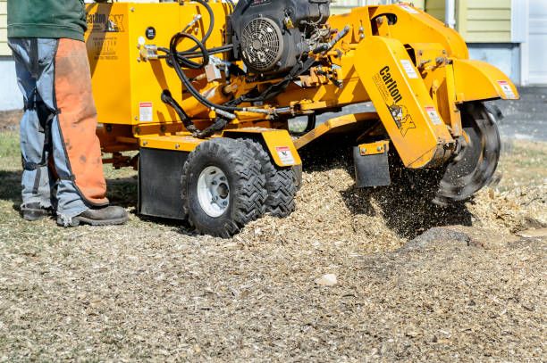 Arborist in Spokane Washington