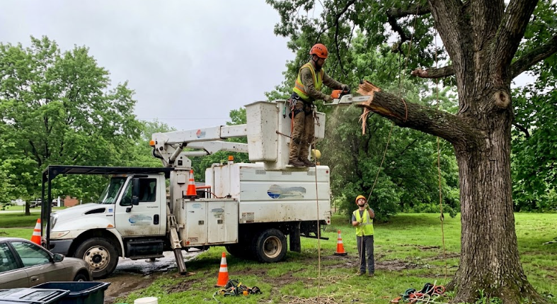 A professional tree service bucket truck being used to safely remove a hazardous broken branch.