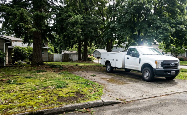 A beautiful Spokane home with healthy, well-maintained trees cared for by A1 Tree Service & Stump Removal