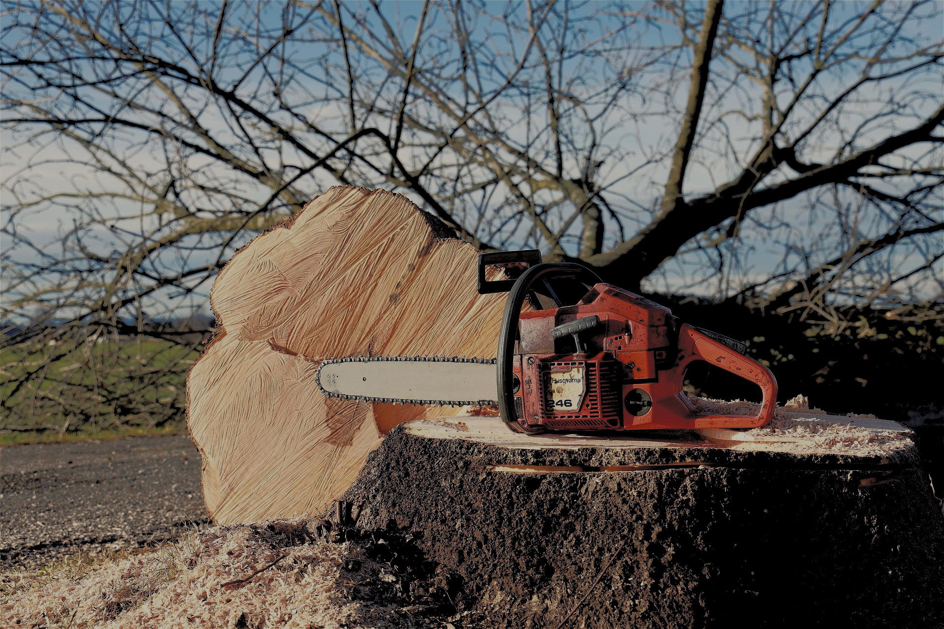 Chainsaw used by ISA certified Arborist with A1 Stump Removal tree company in Spokane WA