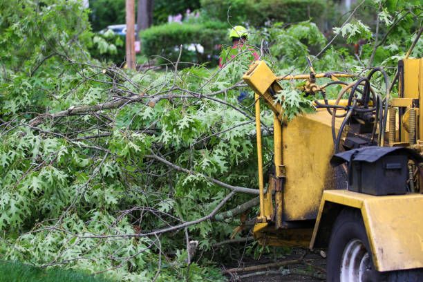 Yellow wood chipper clearing fallen branches beside a dense green roadside tree in Spokane.