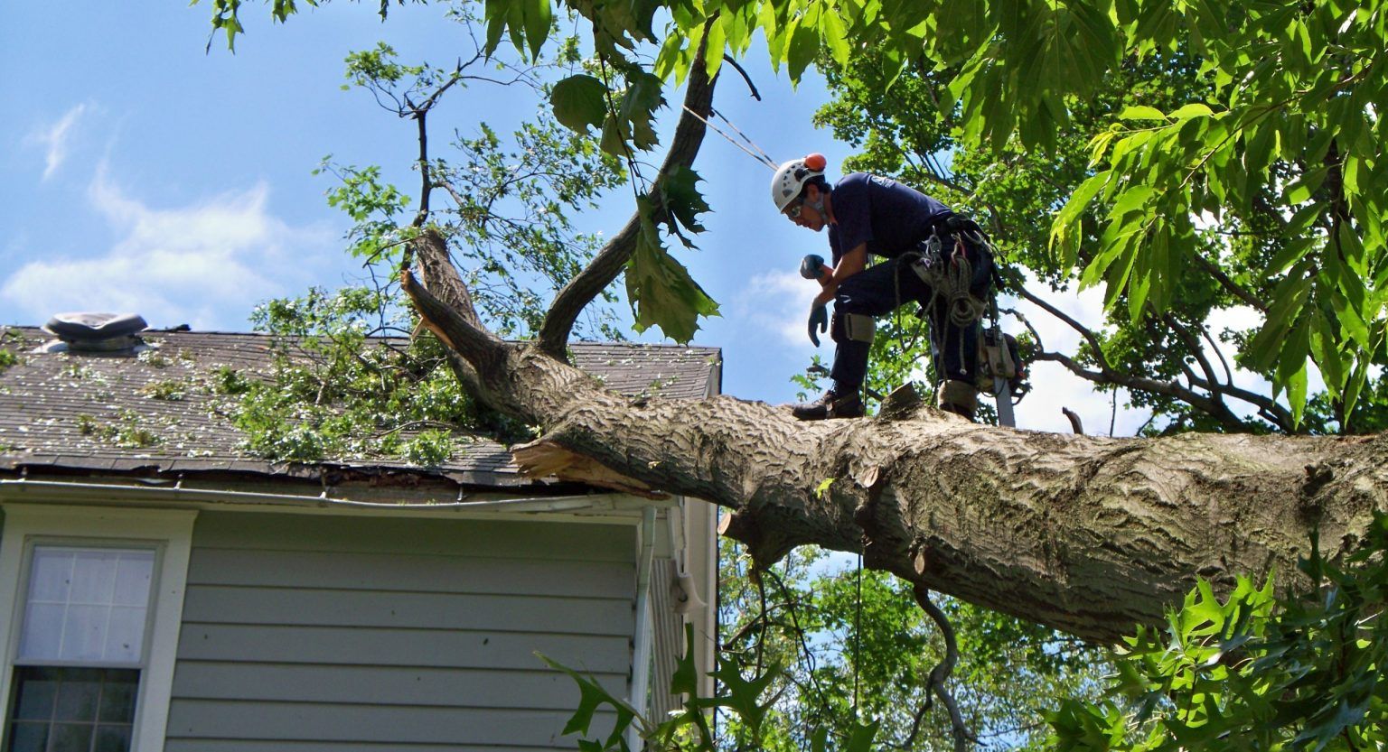 Removing storm damage tree limb from house in Spokane