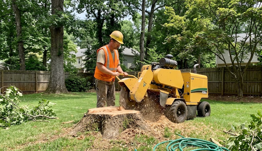 An expert arborist stump grinding machine is removing a tree stump in a green Spokane lawn.