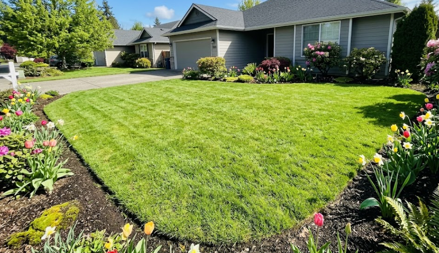 A beautiful, stump-free green lawn outside a Spokane home after professional tree care.