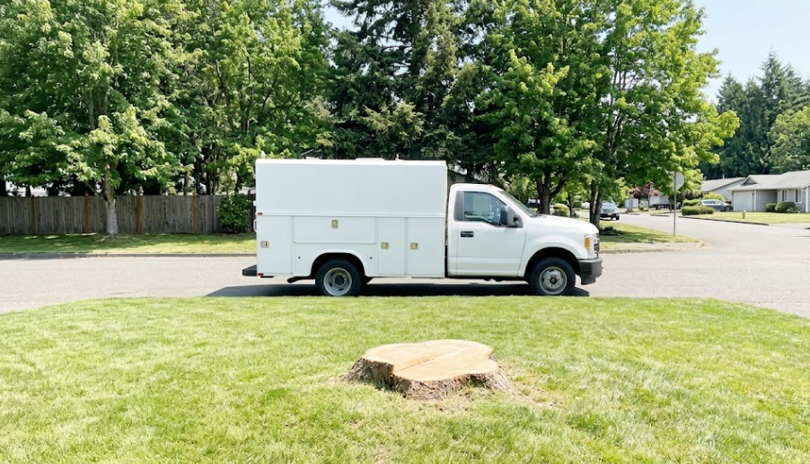 Clean and tidy front yard with a fresh stump after successful emergency tree cleanup and removal.