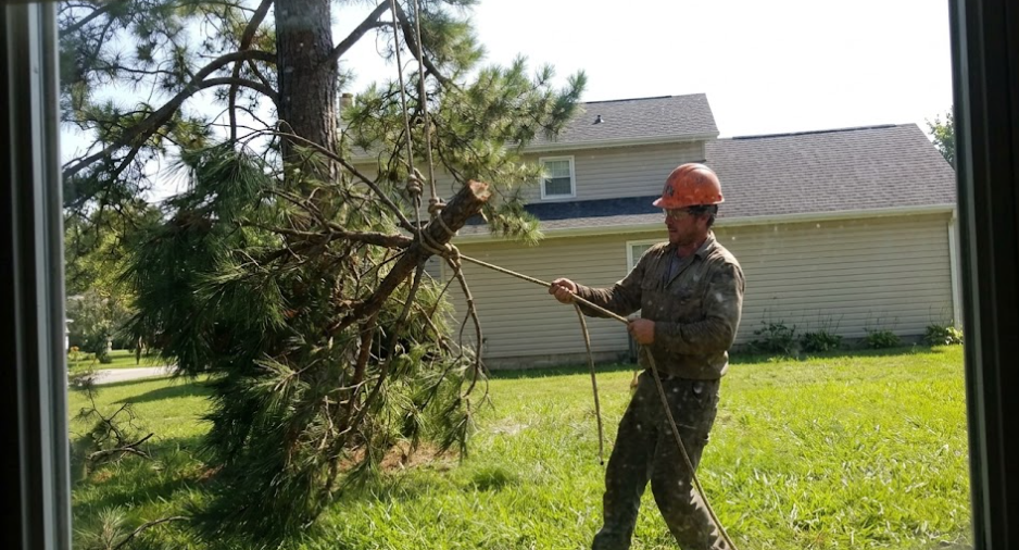 A professional arborist from A1 Tree Service safely lowering a tree branch with ropes in a Spokane yard.