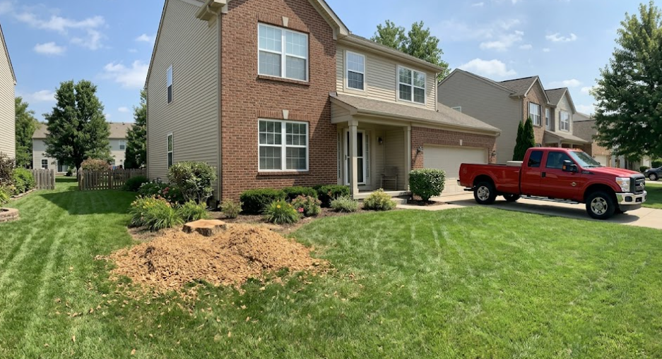 A clean Spokane lawn after professional stump grinding and tree removal services.