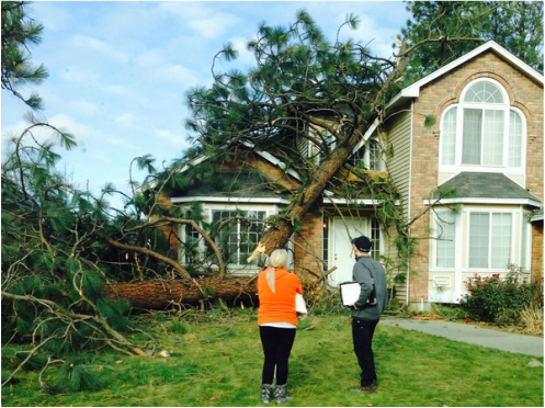 24/7 Emergency Tree Service and Storm Damage cleanup in Spokane Washington