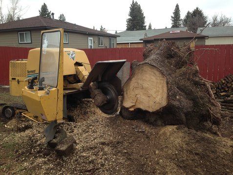 Complete tree stump removal and grinding by A1 Stump Removal