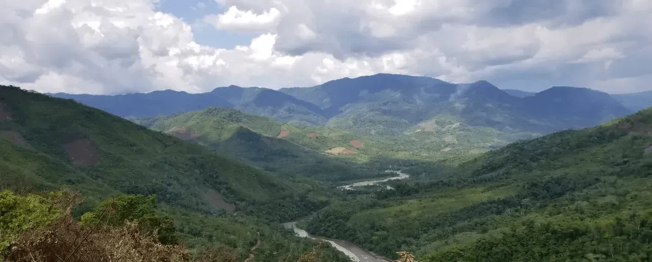 Vallée montagneuse verdoyante et luxuriante traversée par une rivière sinueuse sous un ciel nuageux