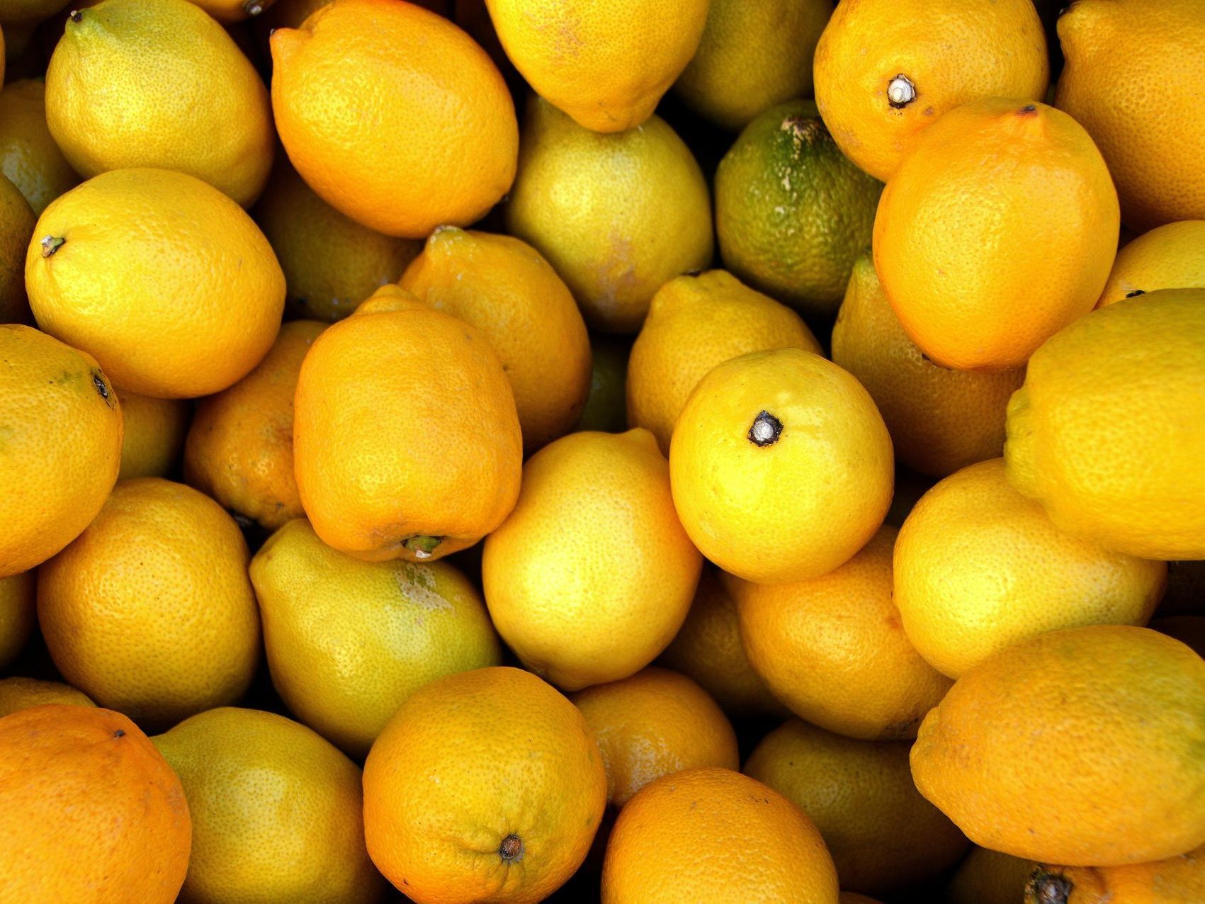 Un tas de citrons et de limes jaunes remplit le cadre