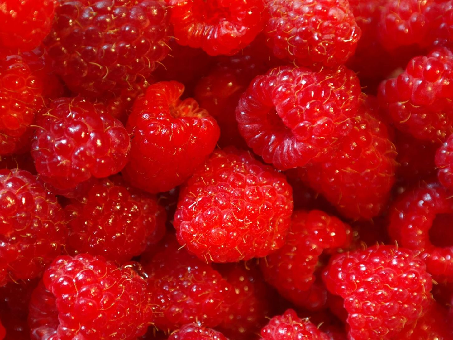 Gros plan sur des framboises rouges mûres remplissant le cadre