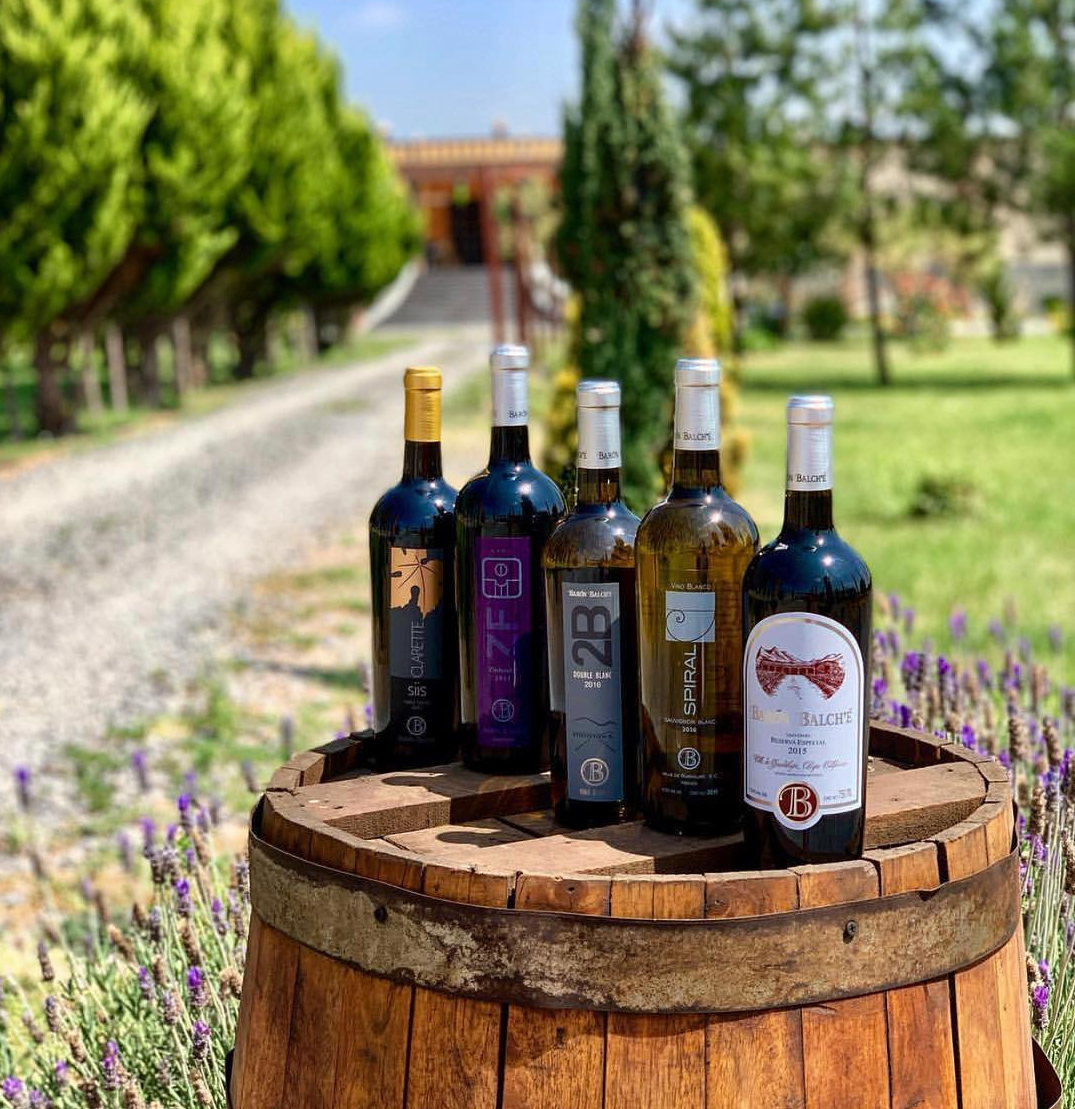 Cinco botellas de vino expuestas sobre un barril de madera al aire libre, en un jardín que simula un viñedo.