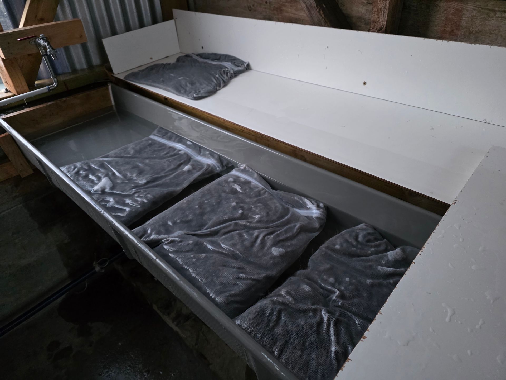 Three sealed, black bags in a shallow, water-filled tray. A fourth bag rests on a white shelf above.