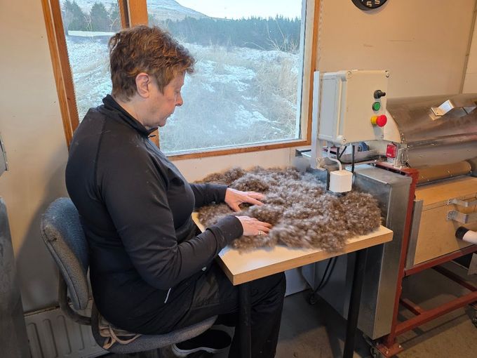 Person seated at a table sorting eiderdown in a workshop by a window.
