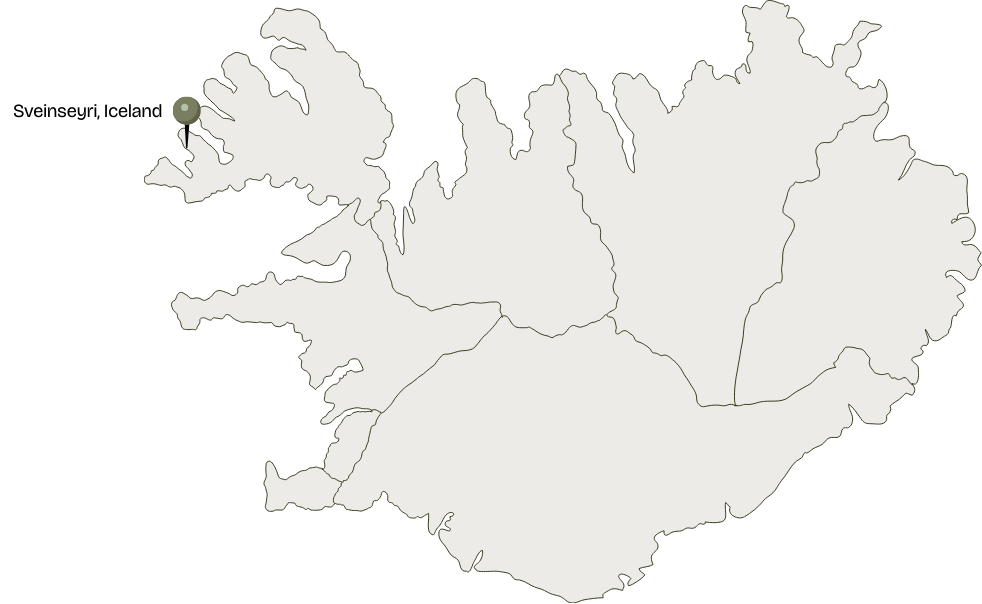 Map of Iceland with a marker labeled “Dyrhólaey” in the southwest.